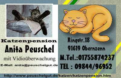 katzenpension.JPG (19715 Byte)